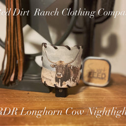 Nightlight Longhorn Cow