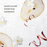 Rainwater Power Mist Hydrating Hand Sanitizer