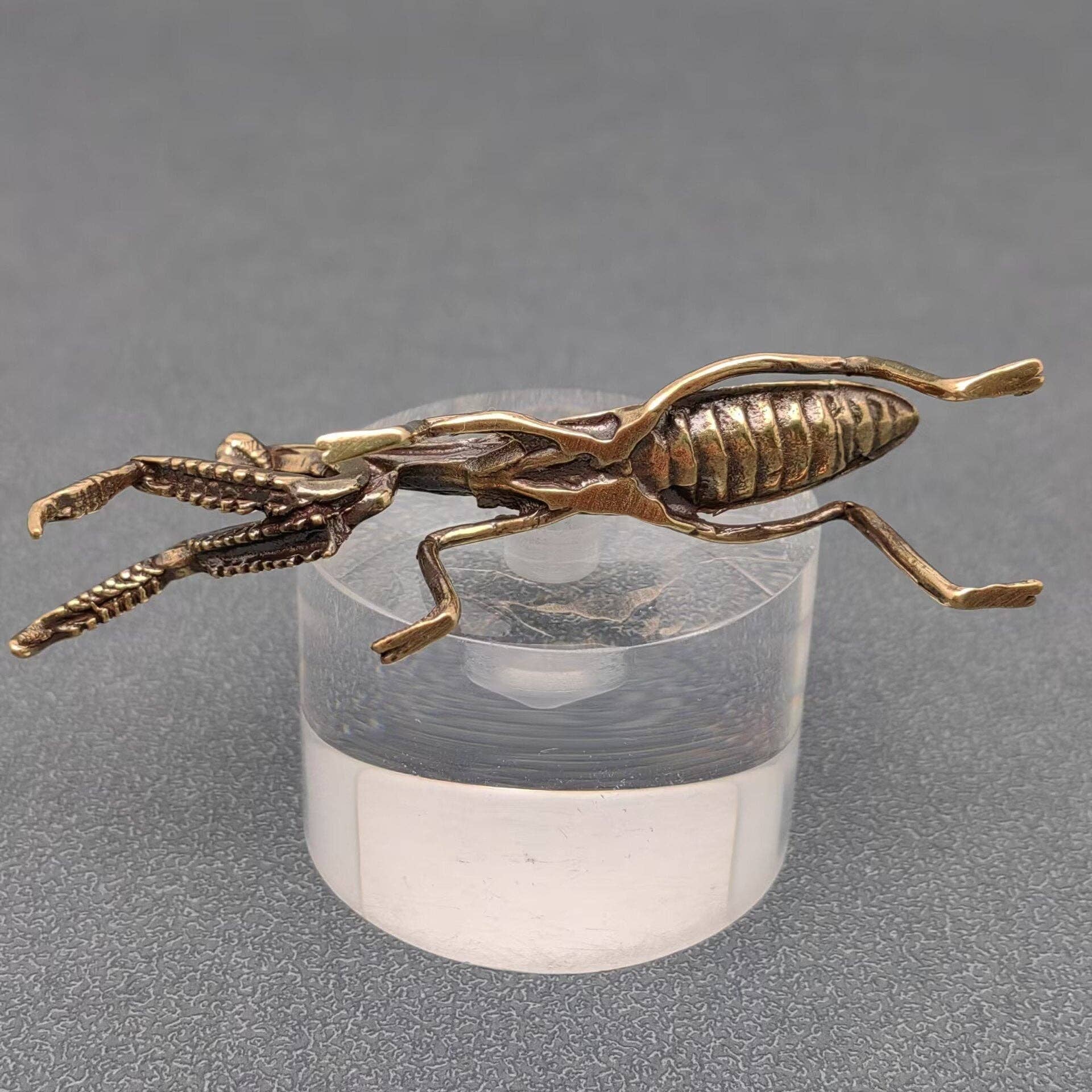 Brass Mantis