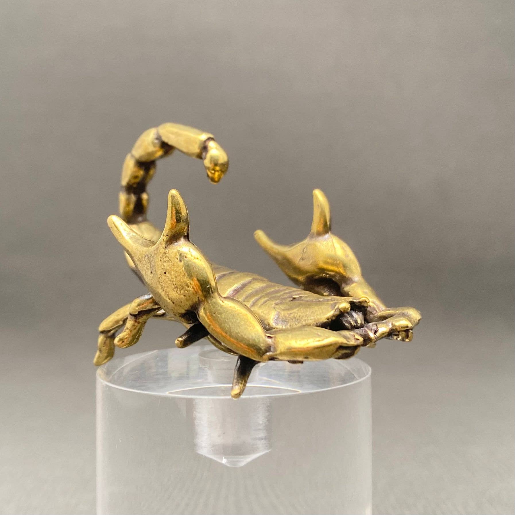 Brass Scorpion