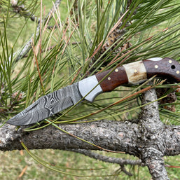 POCKET KNIFE WALNUT WOOD & STAG 6.5'' DAMASCUS STEEL TF-019
