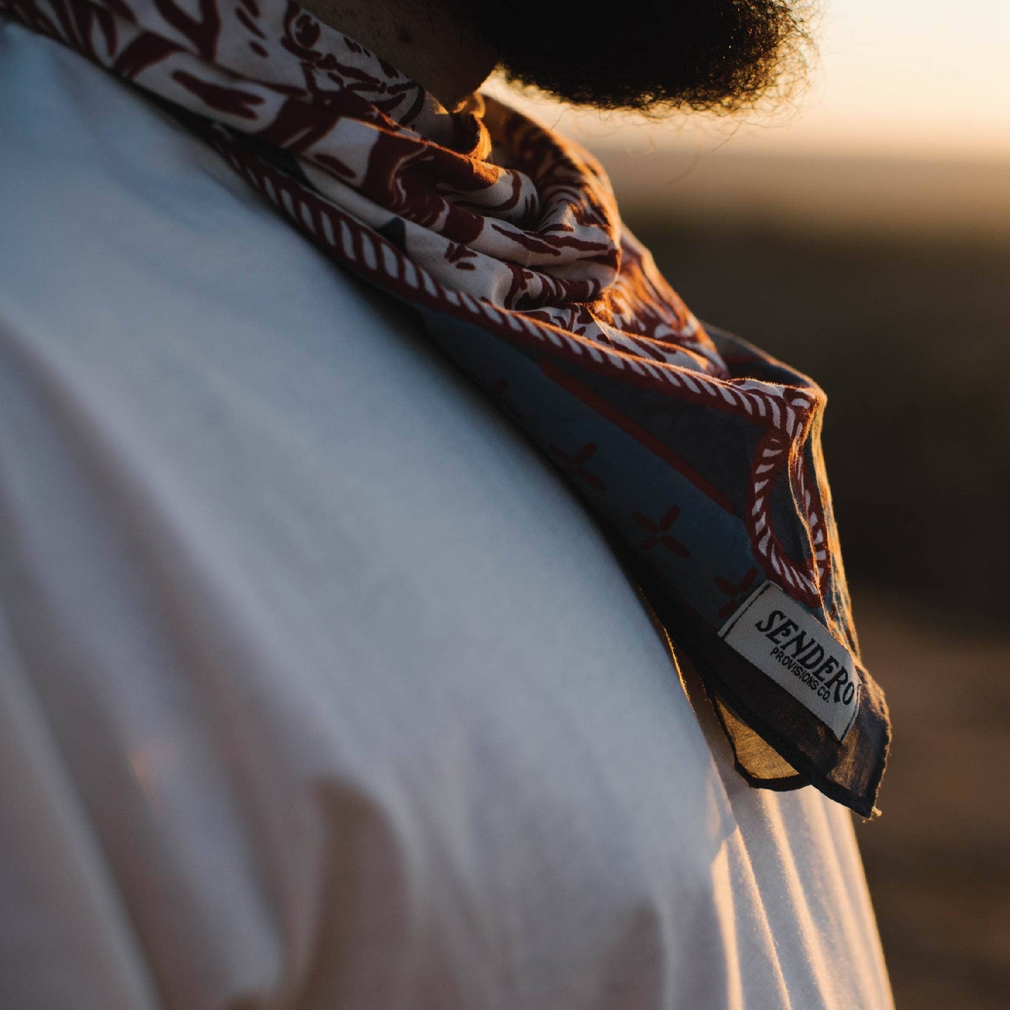 American Working Ranch Bandana