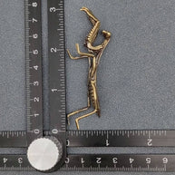 Brass Mantis