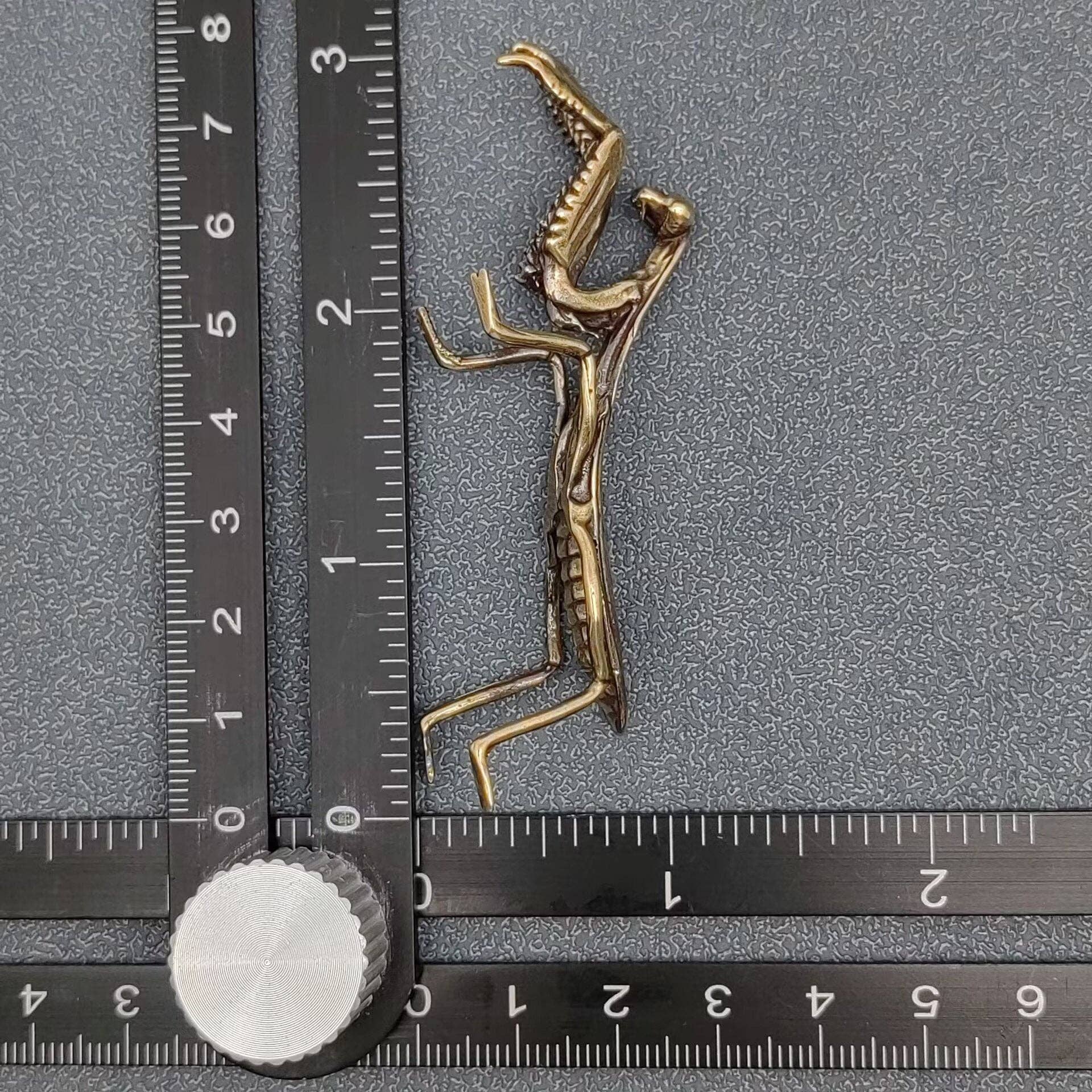 Brass Mantis