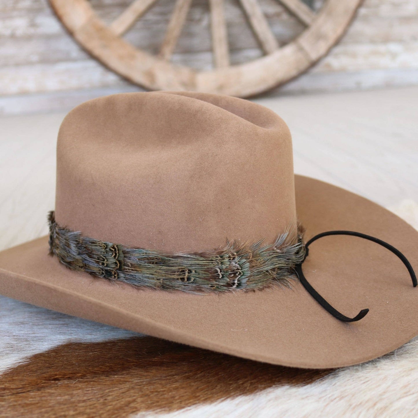 Western Feather Dove Hat Band