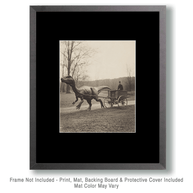DinoCarriage Art Print