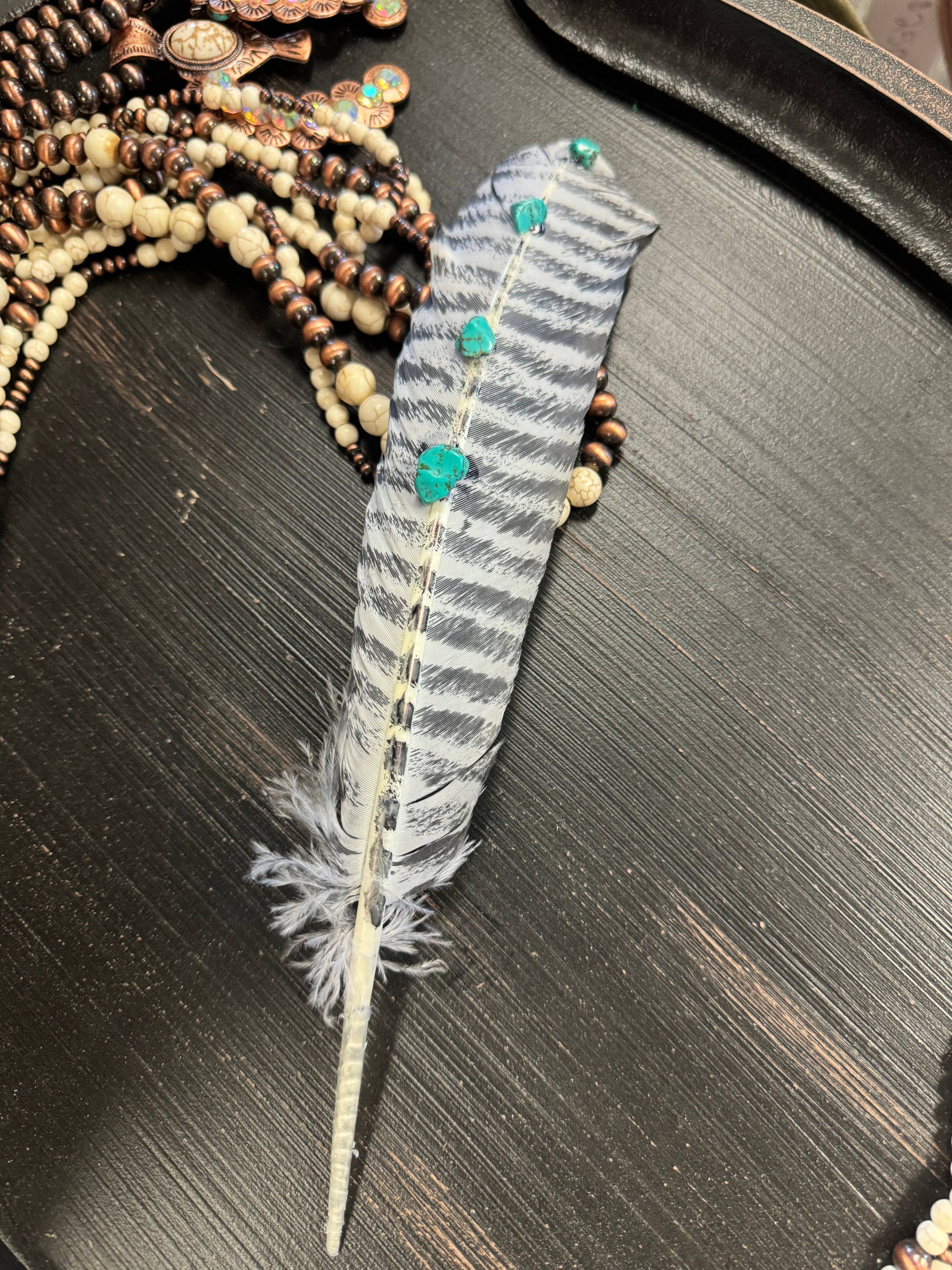 Turquoise Studded White Barred Turkey Feather