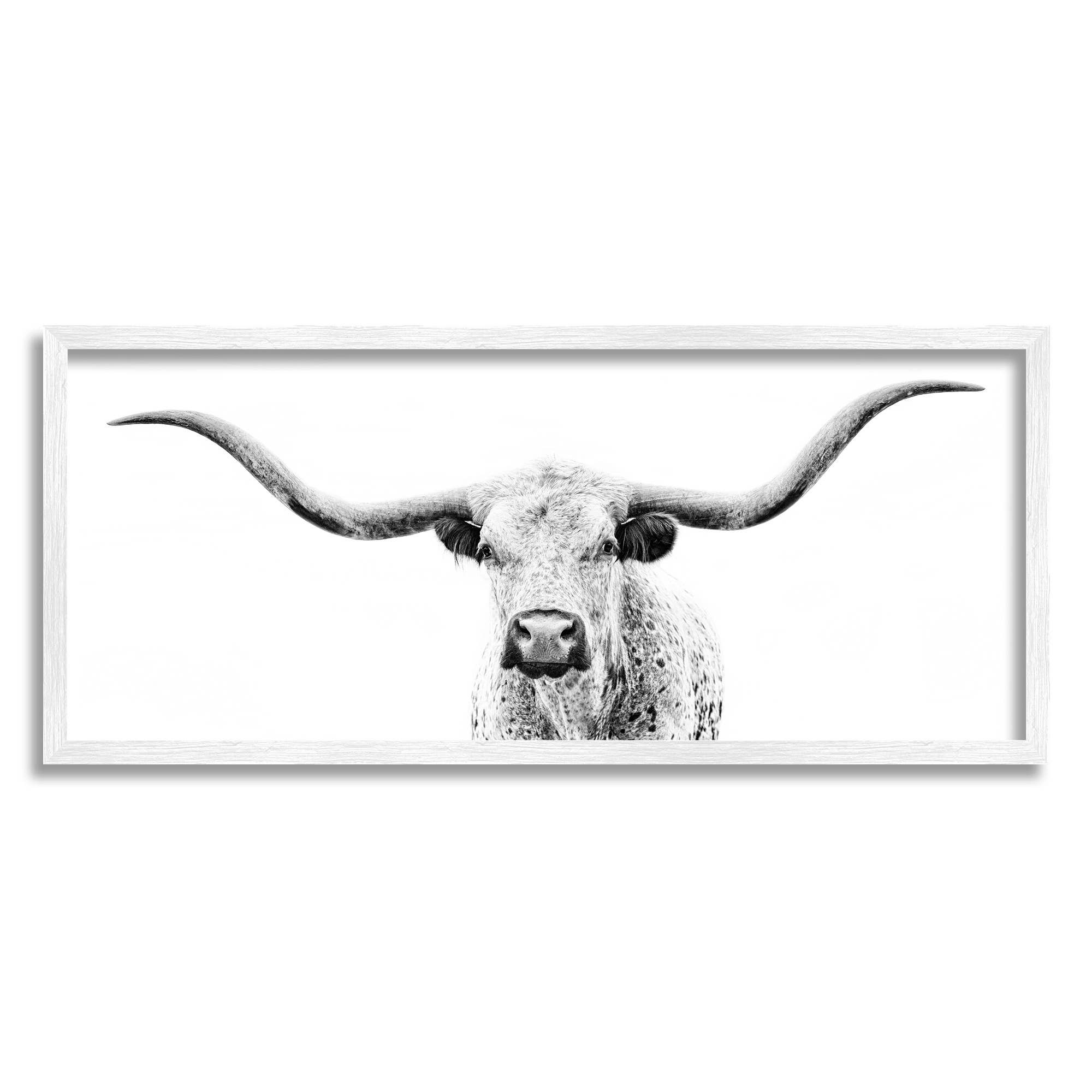 Minimal Longhorn Cattle Photograph Framed