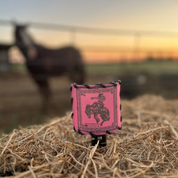 Nightlight Bandana Bronc Hot Pink Black