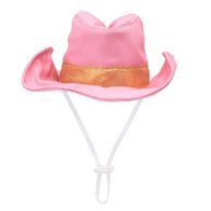Cowboy Party Hat / Dog Toy