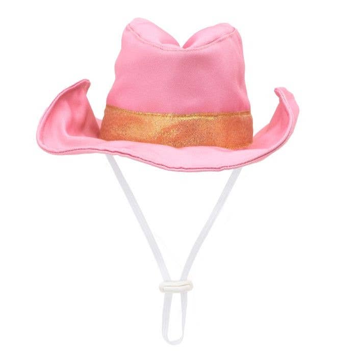 Cowboy Party Hat / Dog Toy