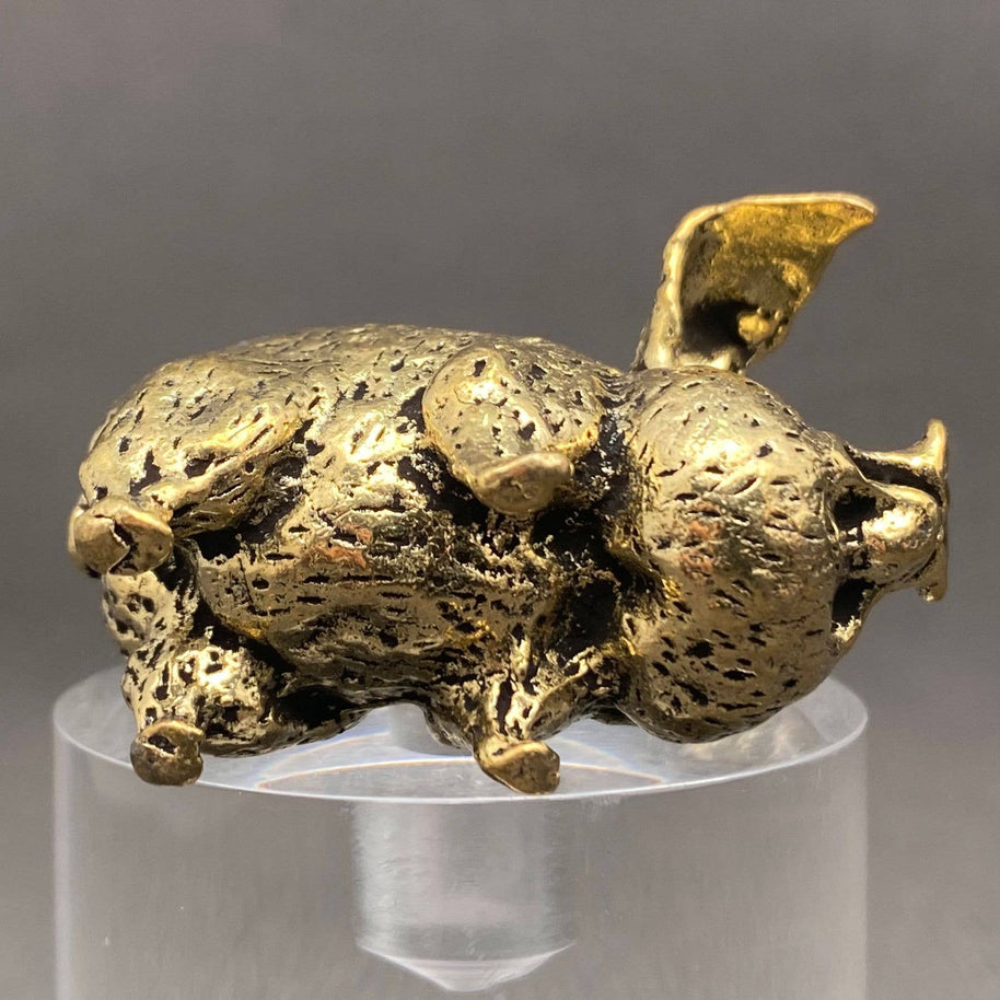 Brass Pig