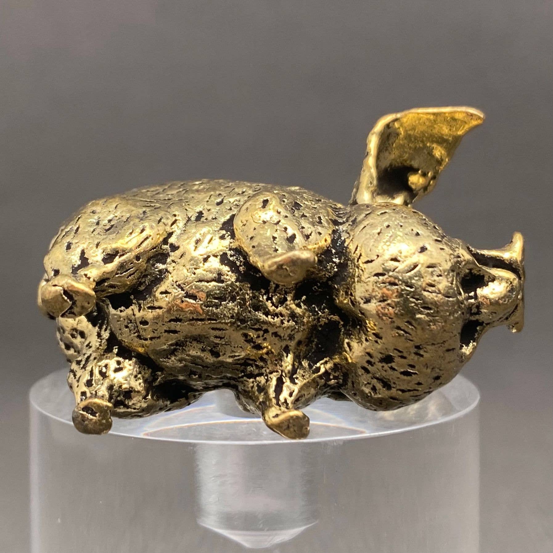 Brass Pig