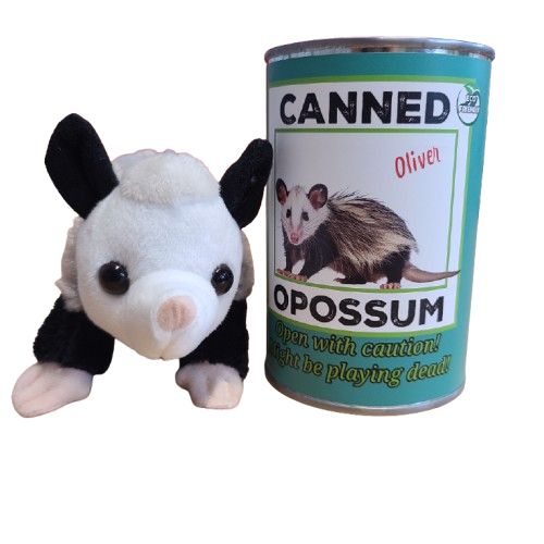 Oliver the Canned Opossum