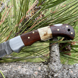 POCKET KNIFE WALNUT WOOD & STAG 6.5'' DAMASCUS STEEL TF-019