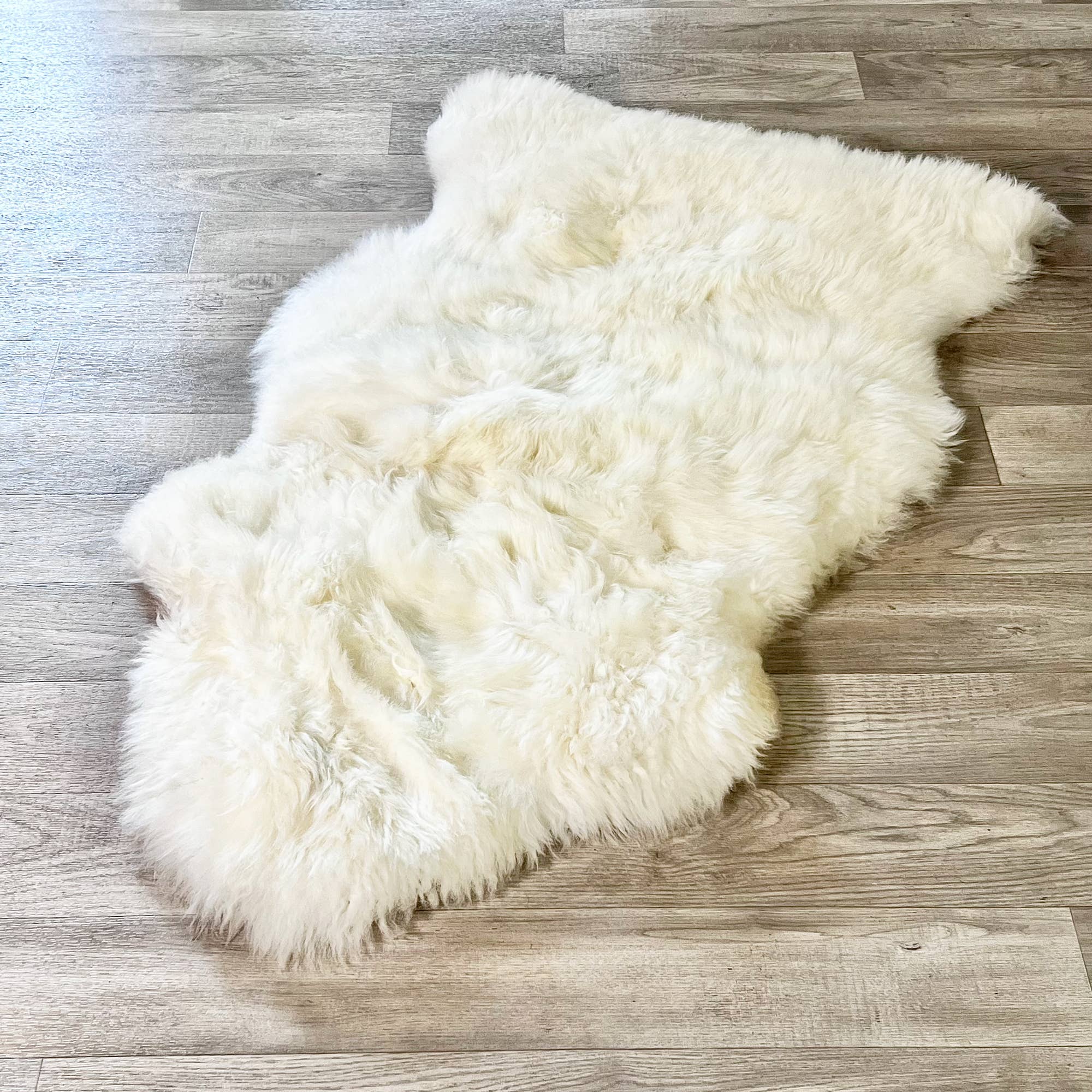 RODEO Genuine Sheepskin Rug – Premium Shearling Decor: Brown