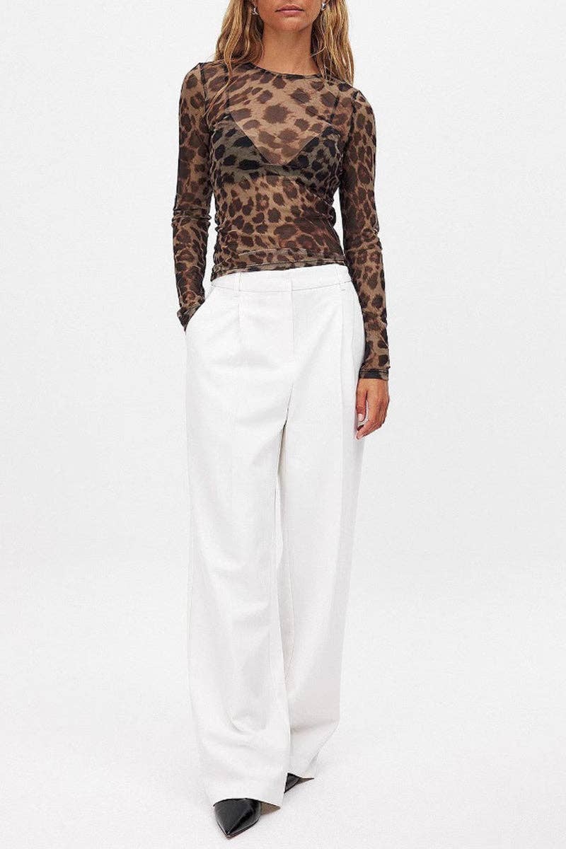 Leopard Print Mesh Long Sleeve Top