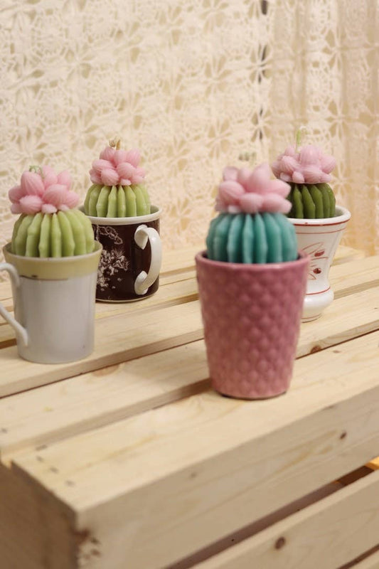 Mini Succulent Candles