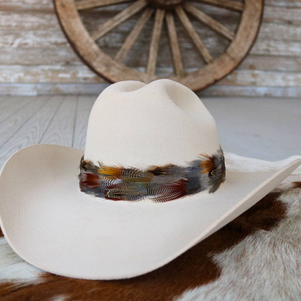 Western Feather Dripping Springs II Hat Band