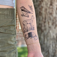 Hill Country Wildlife Temporary Tattoo Collection