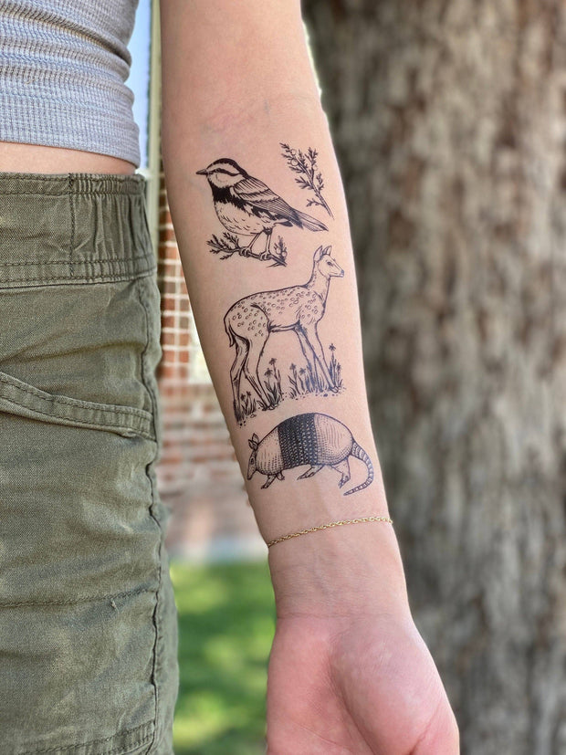 Hill Country Wildlife Temporary Tattoo Collection