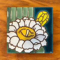 Desert Flora Coaster: Saguaro Cactus Bloom Gift  (4.25