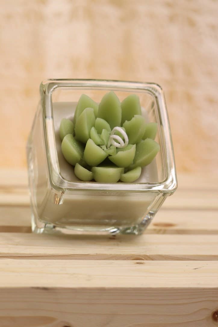 Mini Succulent Candles