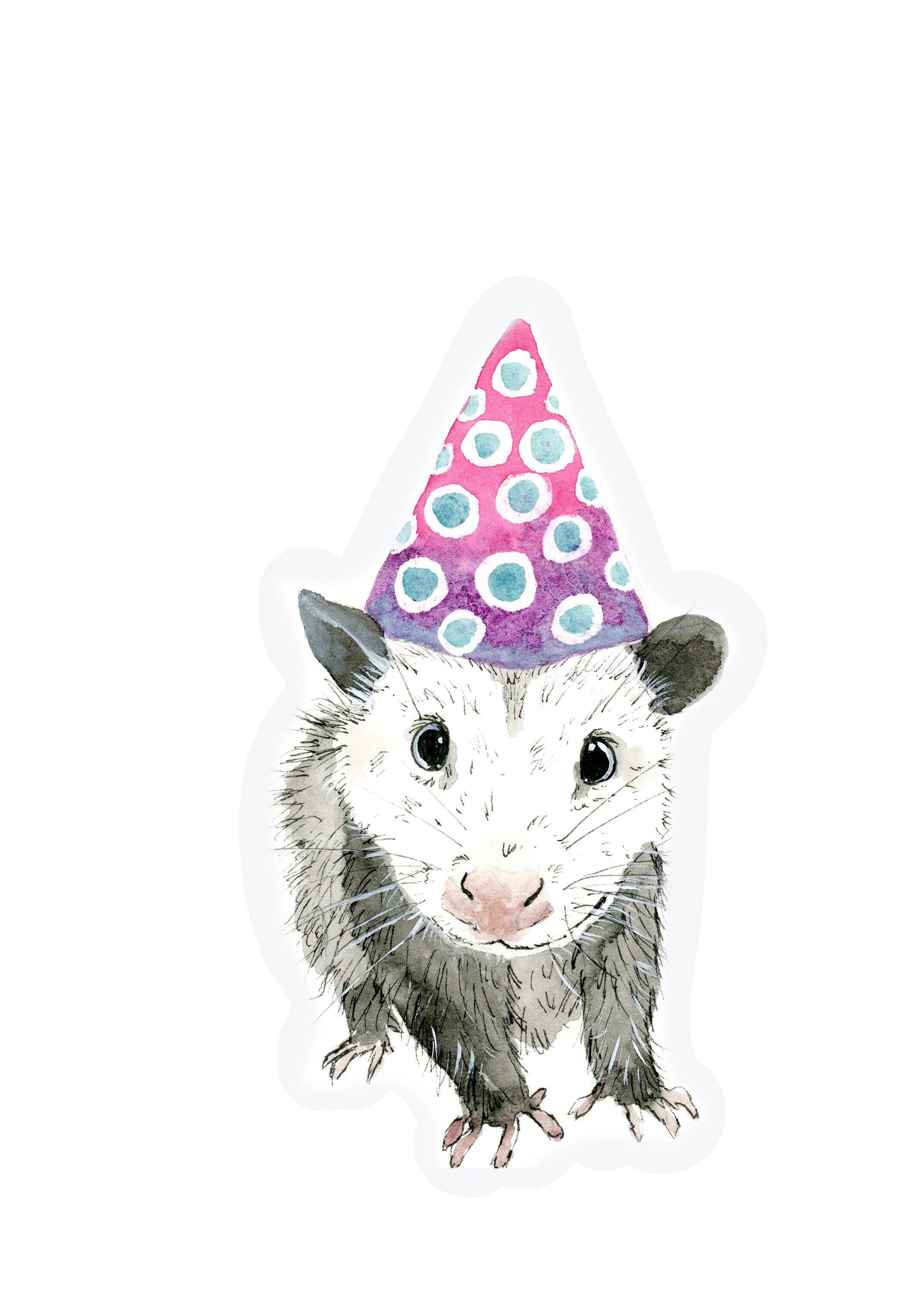 Greeting Card: I'm Here For the Party Opossum Possum, Art
