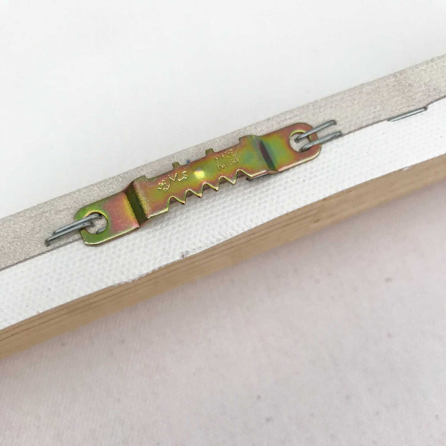 Desert Longhorn Cattle Stretched Canvas