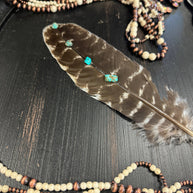 Turquoise Studded Natural Barred Turkey Feathers