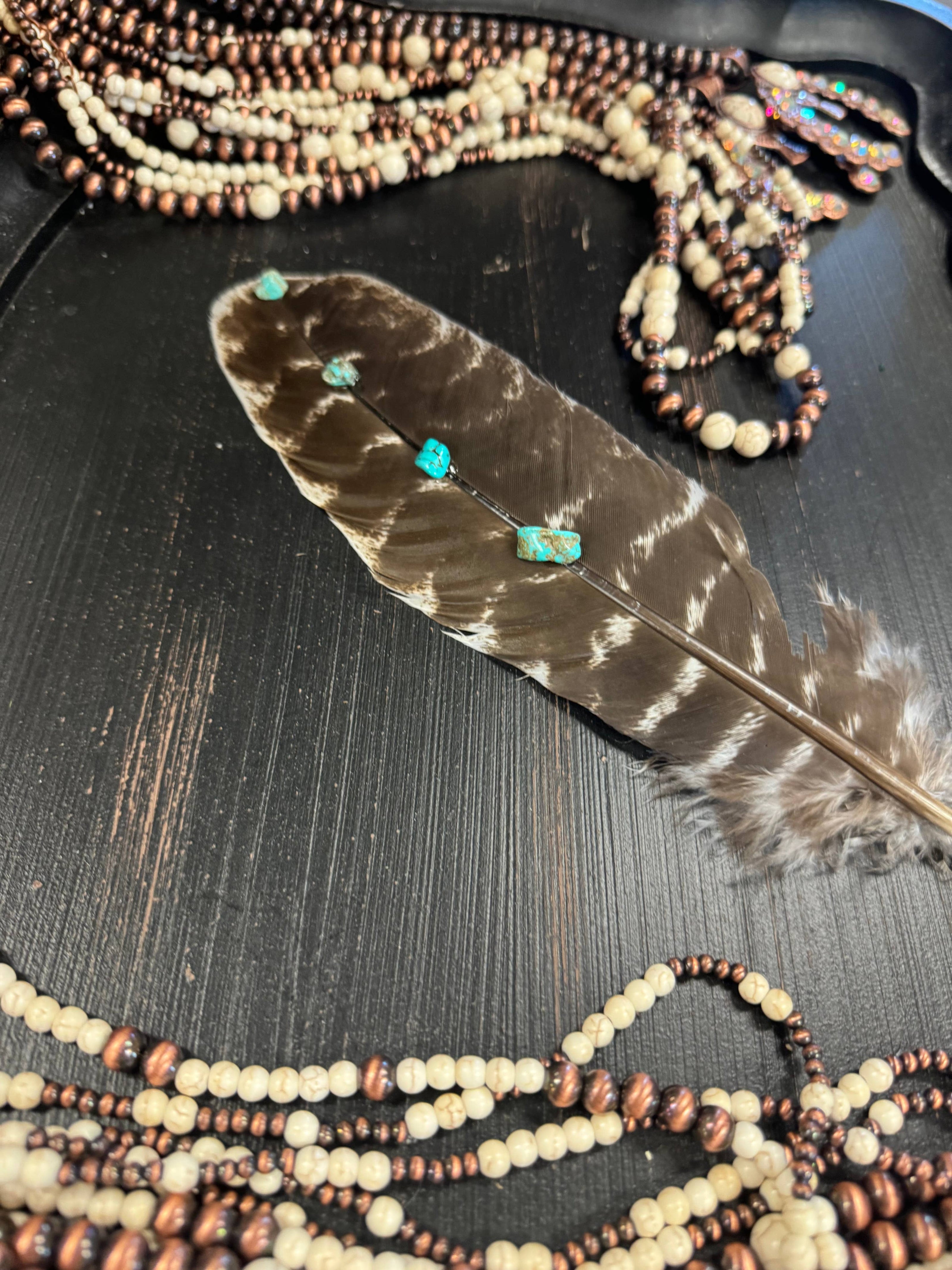 Turquoise Studded Natural Barred Turkey Feathers