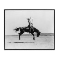 Galloping Rodeo Cowgirl Framed Art