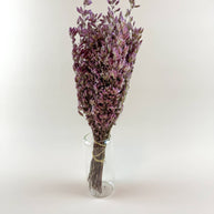 Santa Cruz Oregano – Naturally Air-Dried Decorative Herb