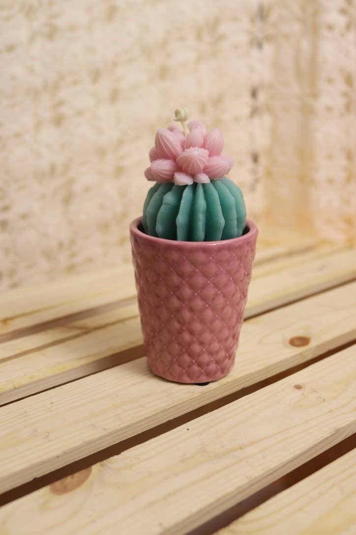 Mini Succulent Candles