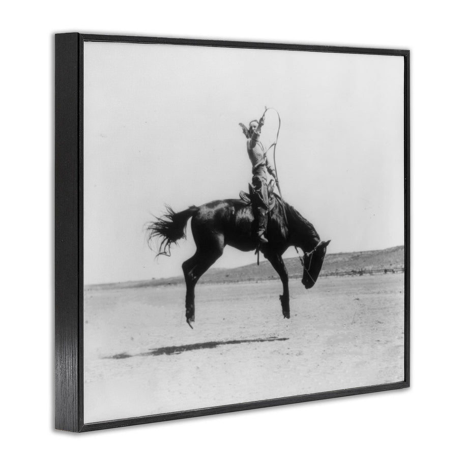 Galloping Rodeo Cowgirl Framed Art