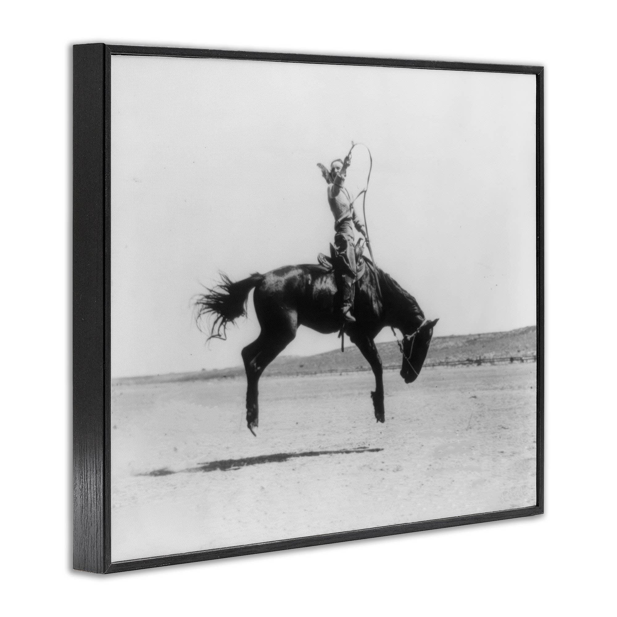 Galloping Rodeo Cowgirl Framed Art