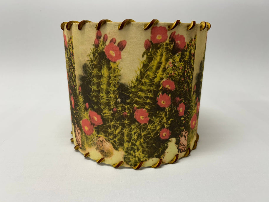 Lampshade White Sands Cactus, 11-14 inch