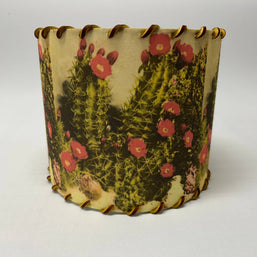 Lampshade White Sands Cactus, 11-14 inch