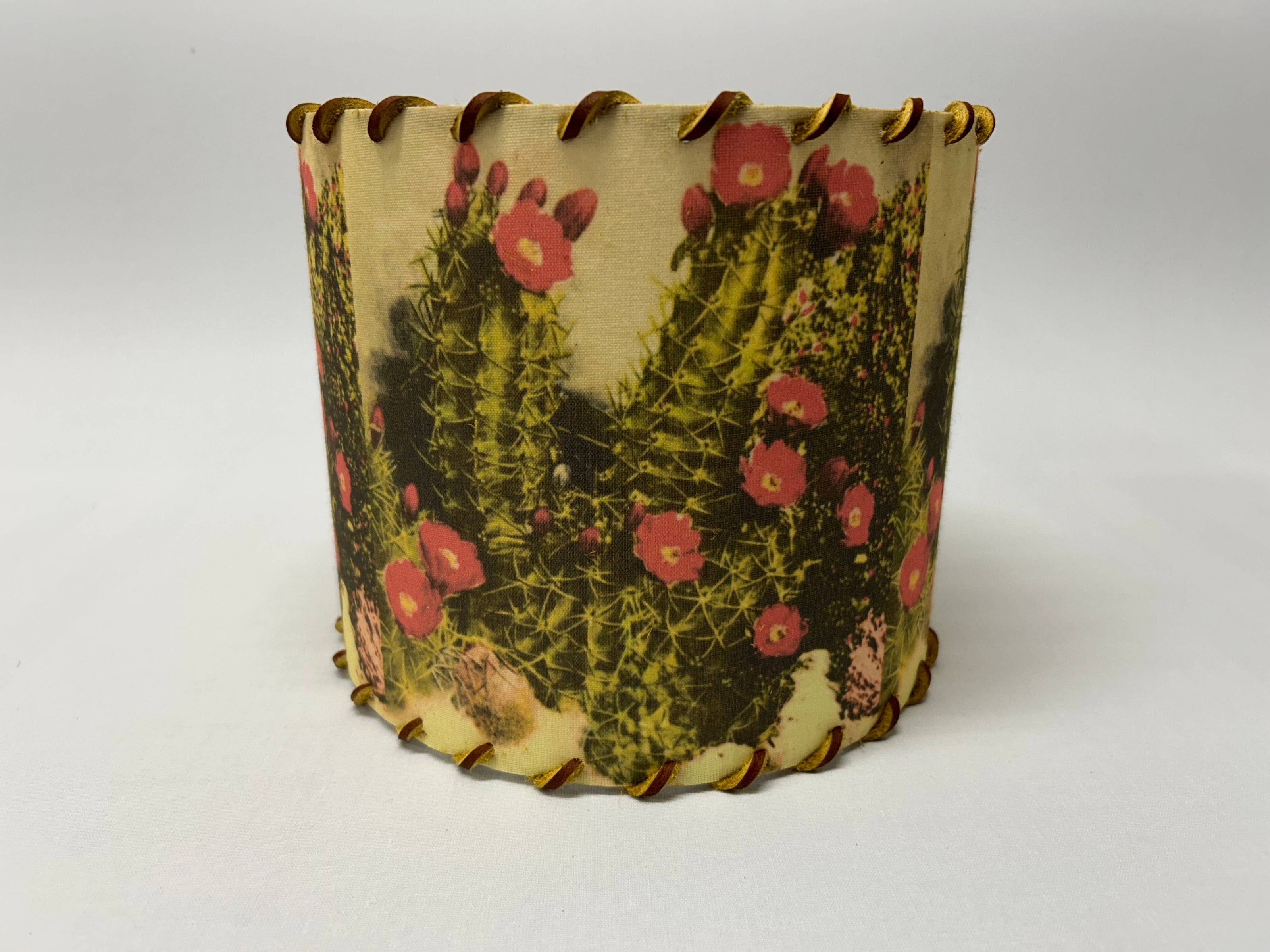 Lampshade White Sands Cactus, 11-14 inch