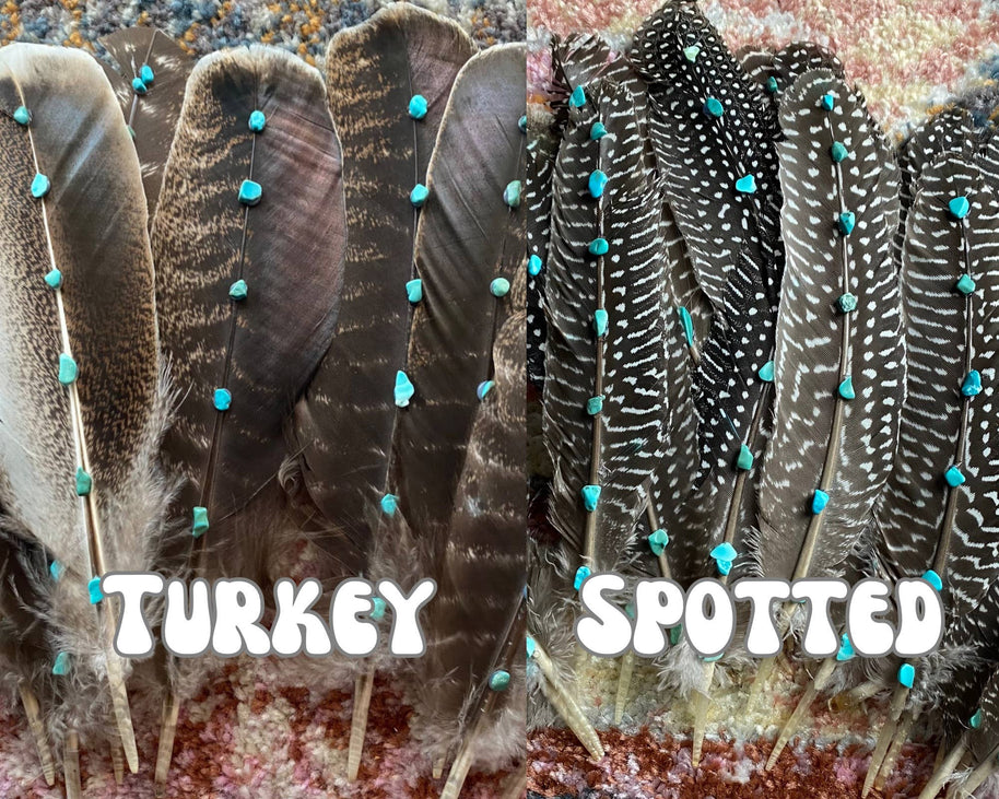 Spotted Guinea Hat Feather with Abalone