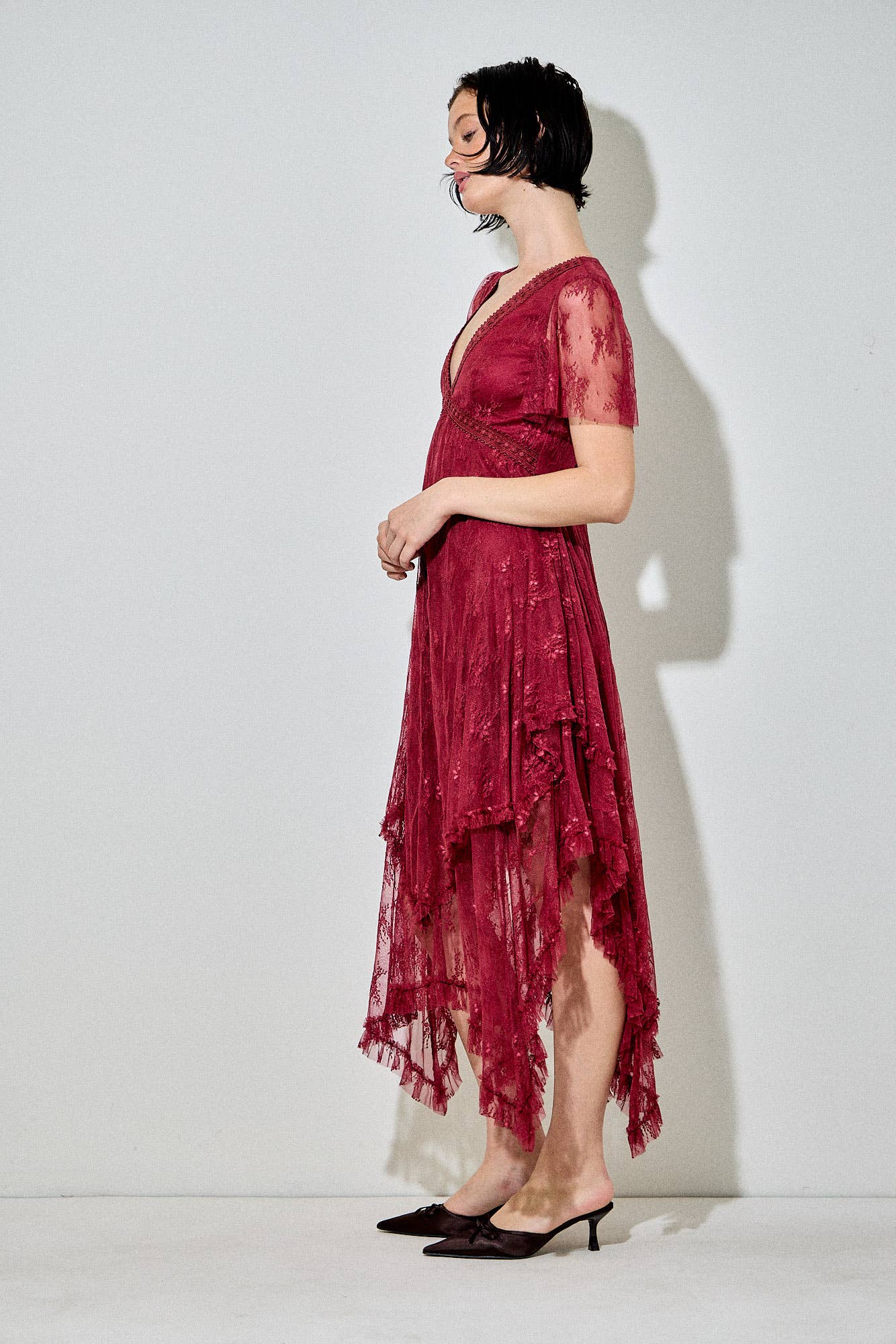 Embellished Lace Dress, Burgundy