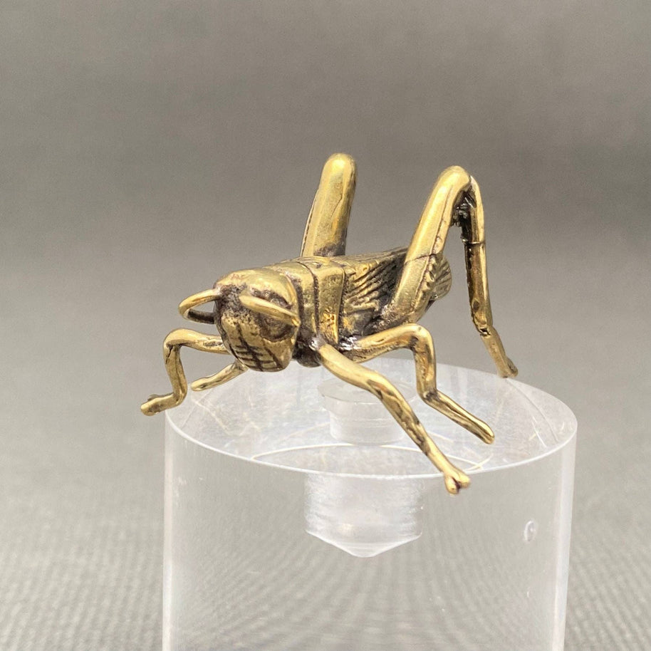 Brass Cricket