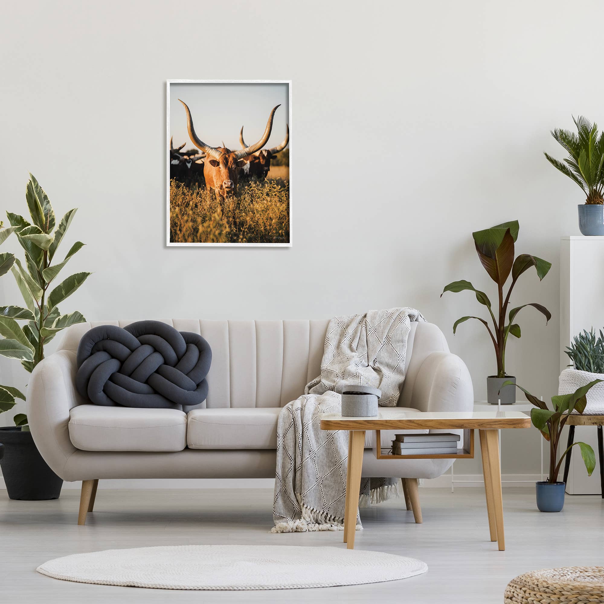 Longhorn Herd Photography Framed