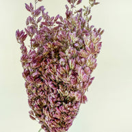 Santa Cruz Oregano – Naturally Air-Dried Decorative Herb