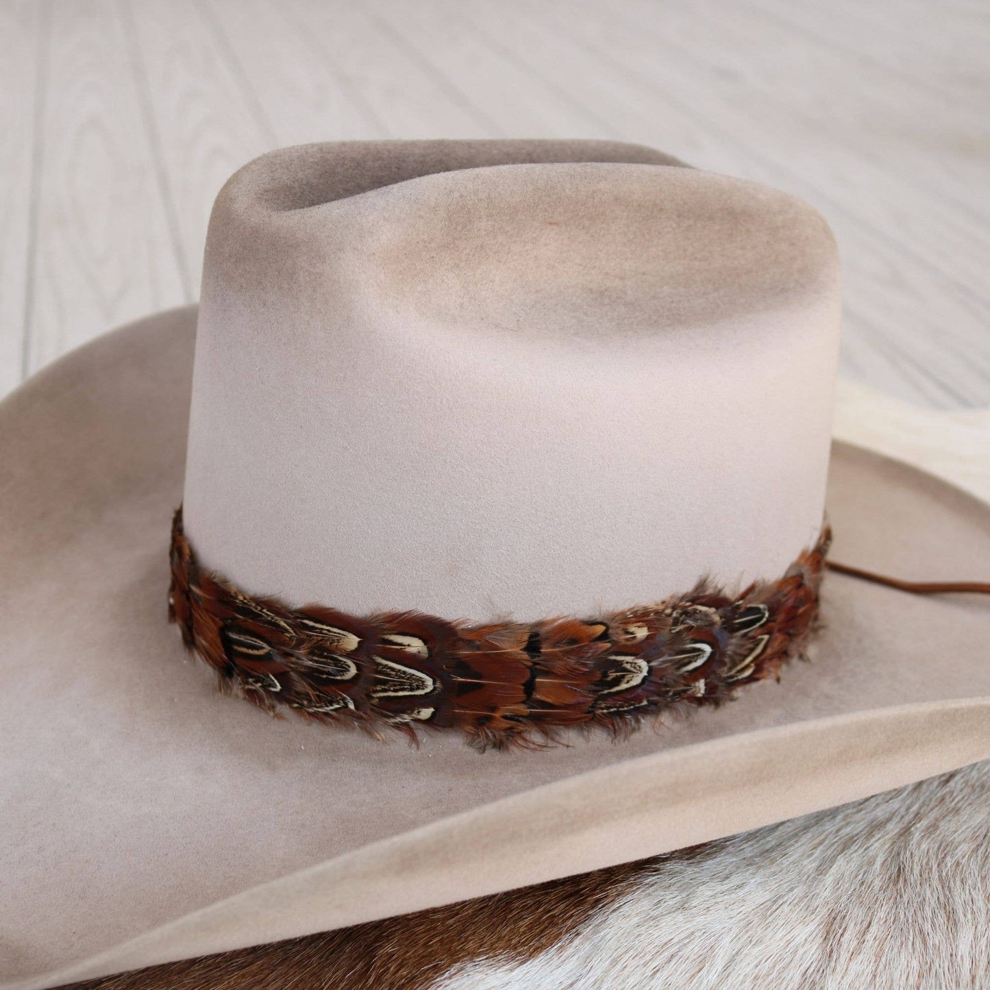 Western Feather Starling Hat Band