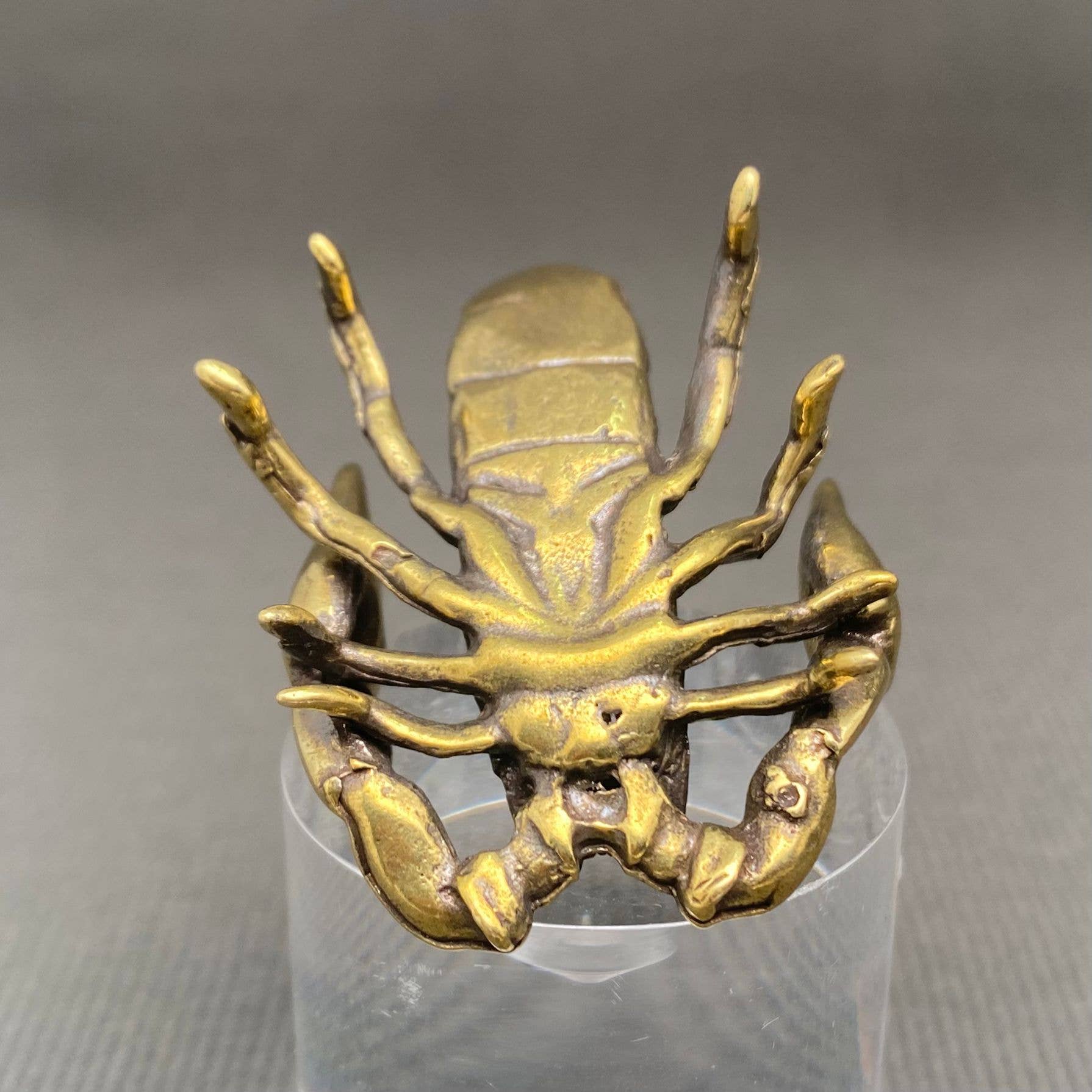 Brass Scorpion