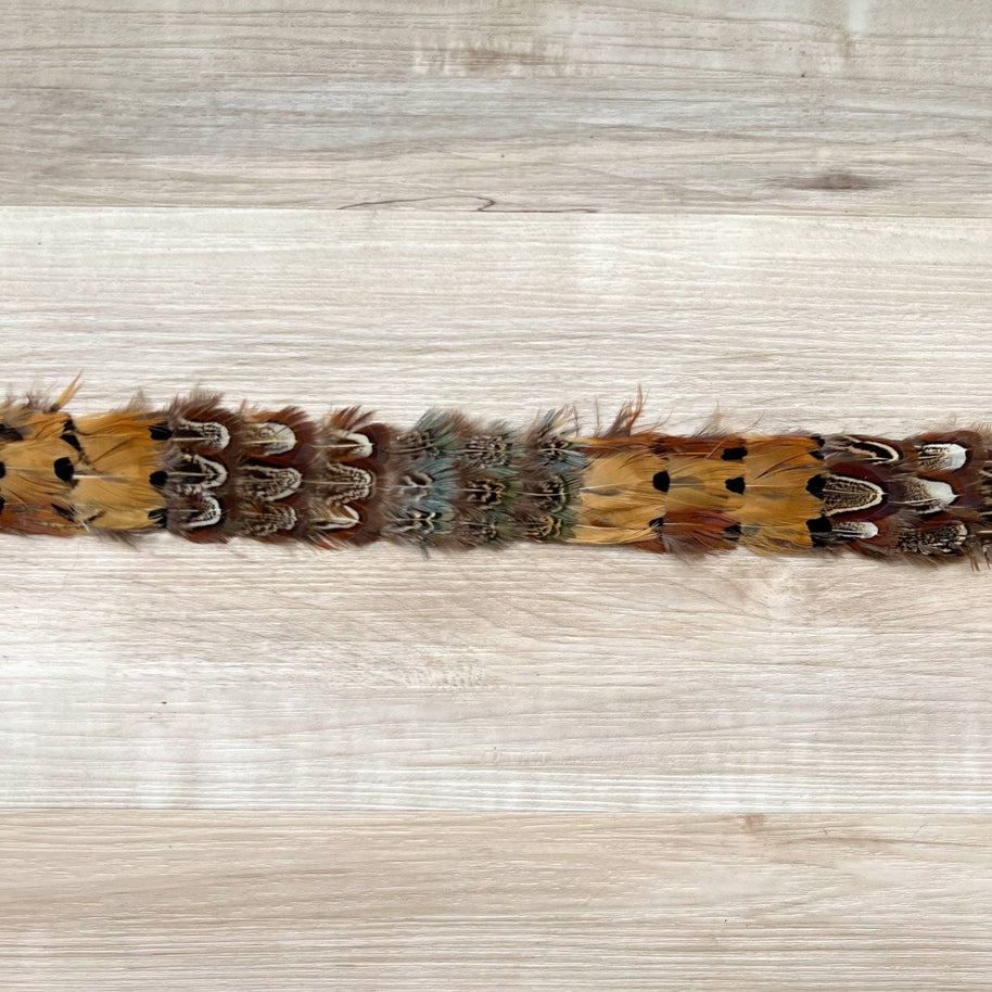 Shikoba Feather Hat Band