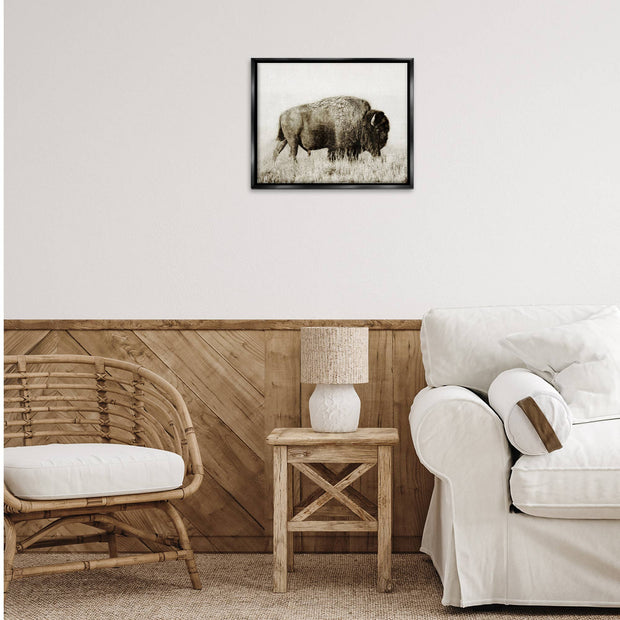 Bison Grazing in Field Floater Framed Art
