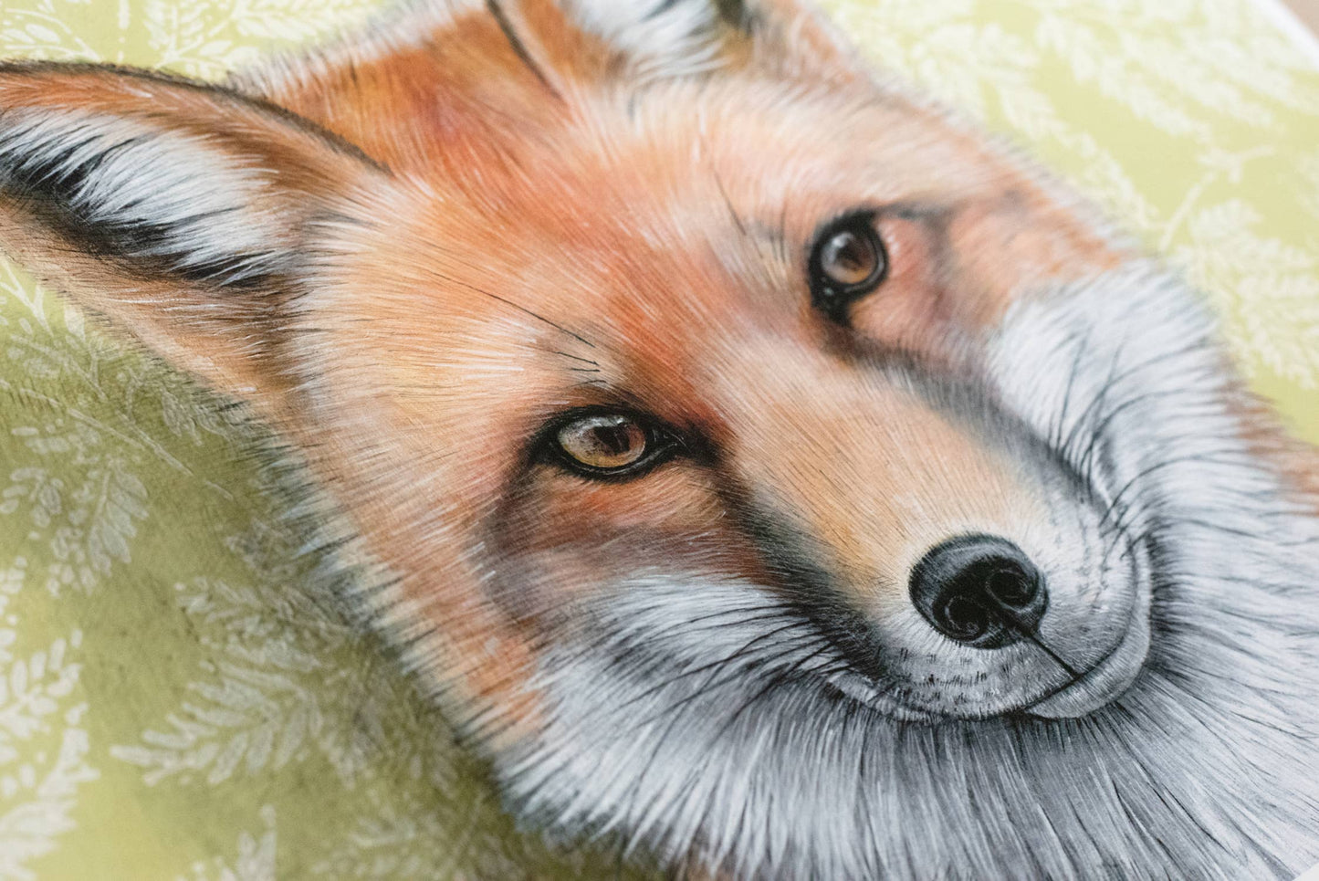 Red Fox Fine Art Print