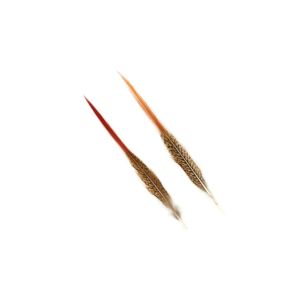 Golden Pheasant Red Top Tails 10-12"- Natural